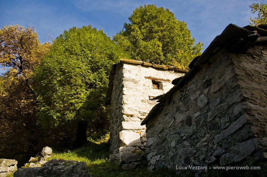 19- Alberi ancora ben verdi a Cii.jpg